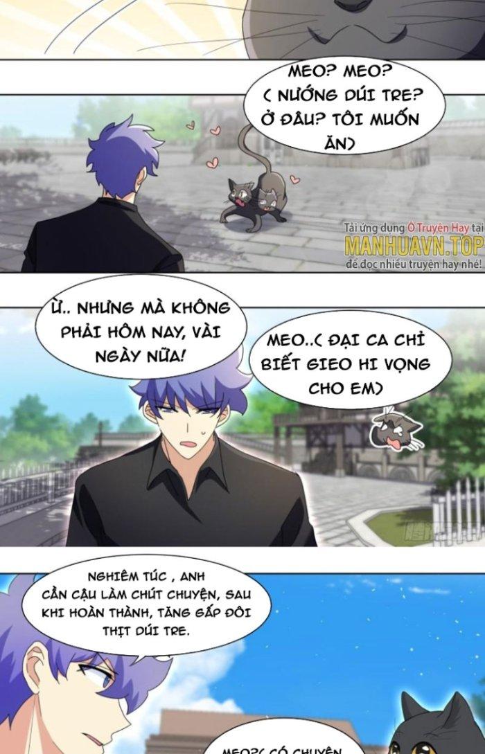 Trọng Sinh Thành Chó Của Nữ Thần Chapter 267 - Trang 3