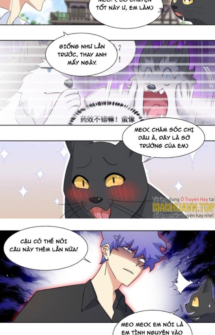 Trọng Sinh Thành Chó Của Nữ Thần Chapter 267 - Trang 3