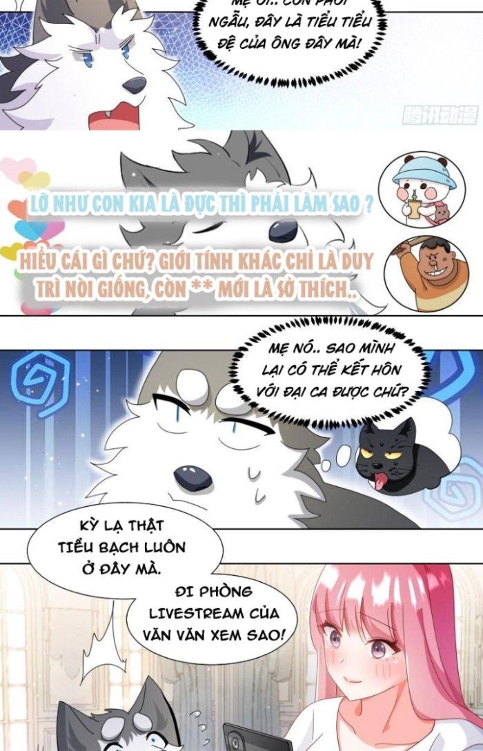 Trọng Sinh Thành Chó Của Nữ Thần Chapter 269 - Trang 3