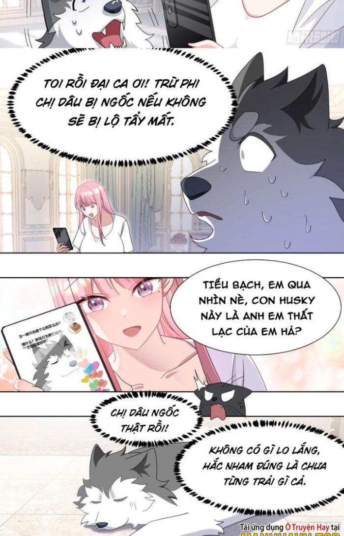 Trọng Sinh Thành Chó Của Nữ Thần Chapter 269 - Trang 3