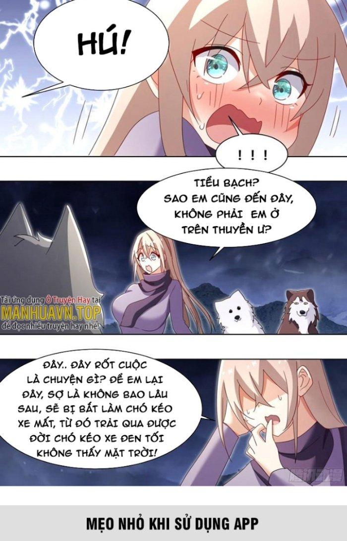 Trọng Sinh Thành Chó Của Nữ Thần Chapter 270 - Trang 3