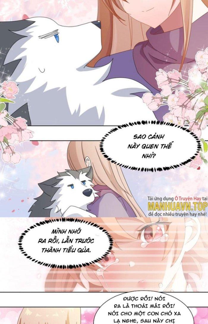 Trọng Sinh Thành Chó Của Nữ Thần Chapter 270 - Trang 3