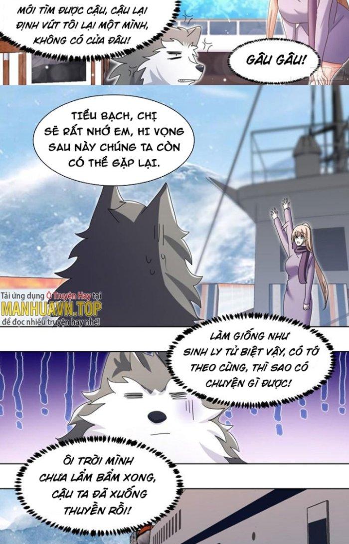 Trọng Sinh Thành Chó Của Nữ Thần Chapter 270 - Trang 3