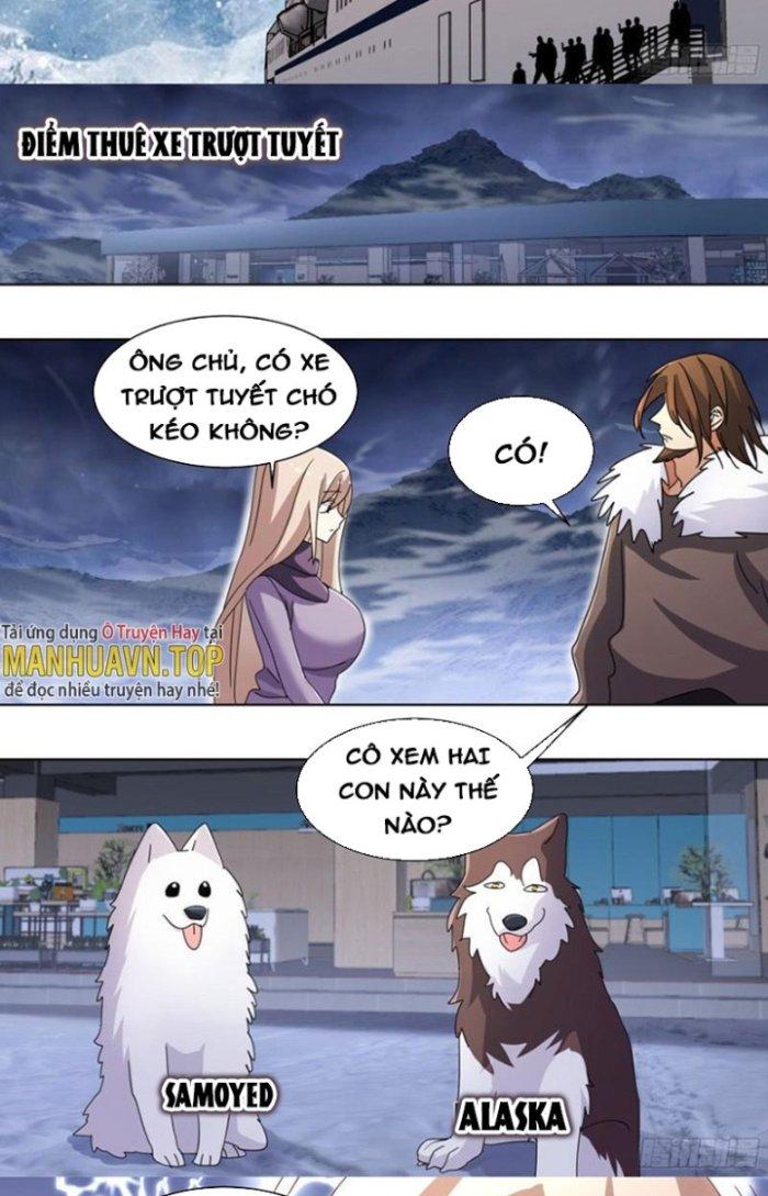 Trọng Sinh Thành Chó Của Nữ Thần Chapter 270 - Trang 3