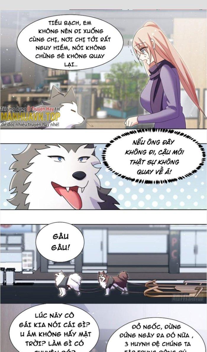 Trọng Sinh Thành Chó Của Nữ Thần Chapter 271 - Trang 3