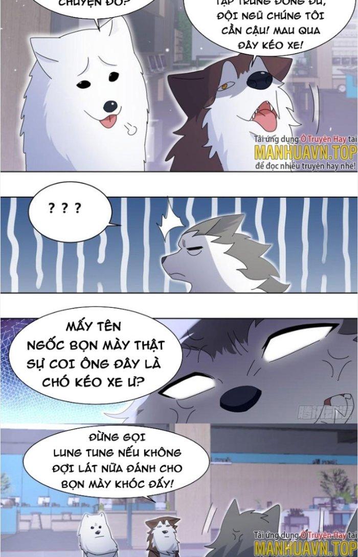 Trọng Sinh Thành Chó Của Nữ Thần Chapter 271 - Trang 3