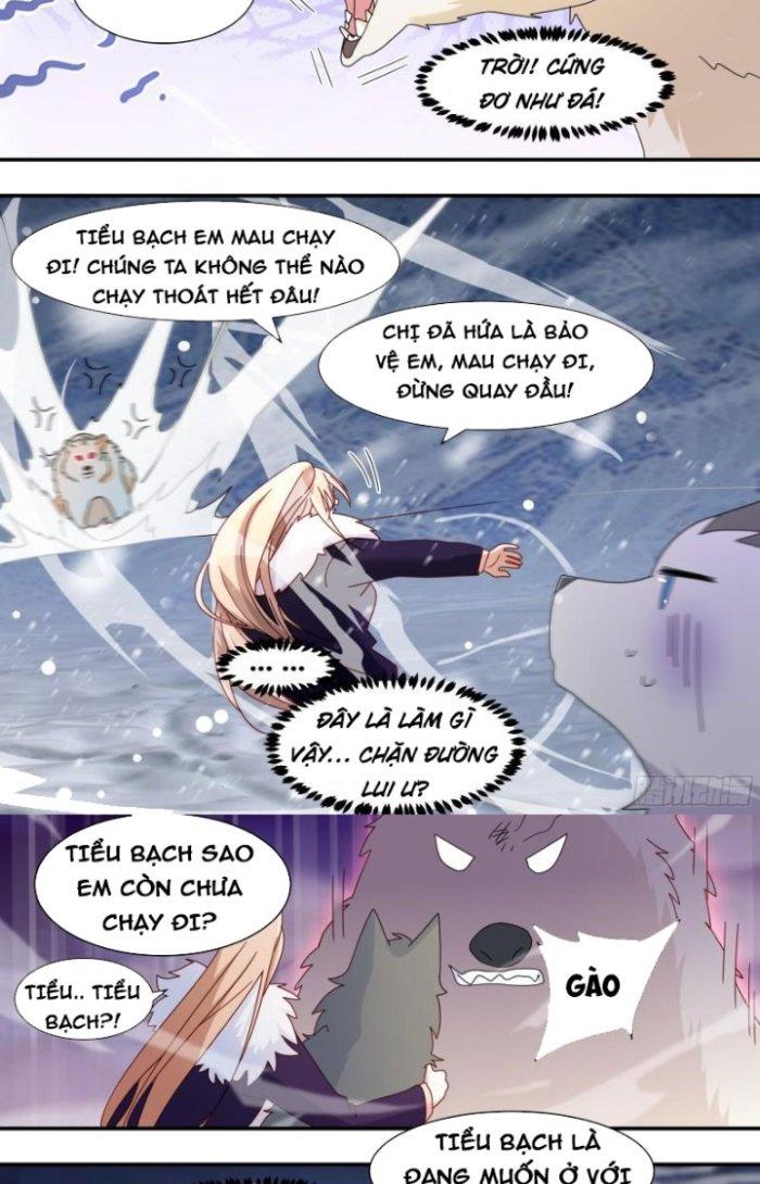 Trọng Sinh Thành Chó Của Nữ Thần Chapter 272 - Trang 3