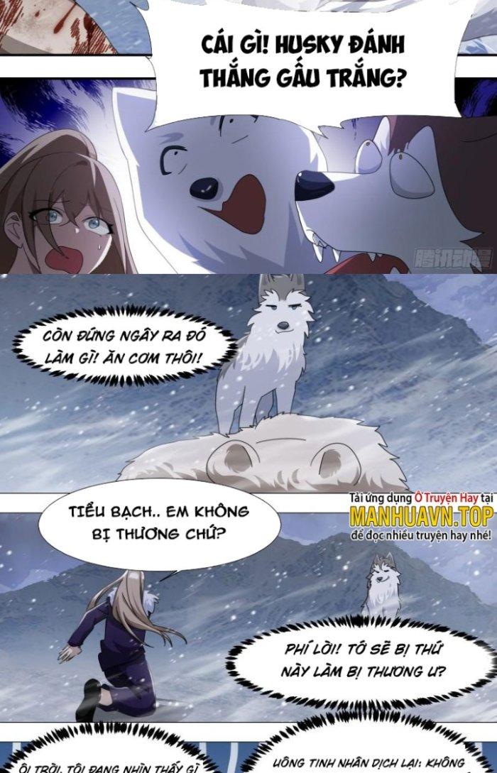 Trọng Sinh Thành Chó Của Nữ Thần Chapter 272 - Trang 3
