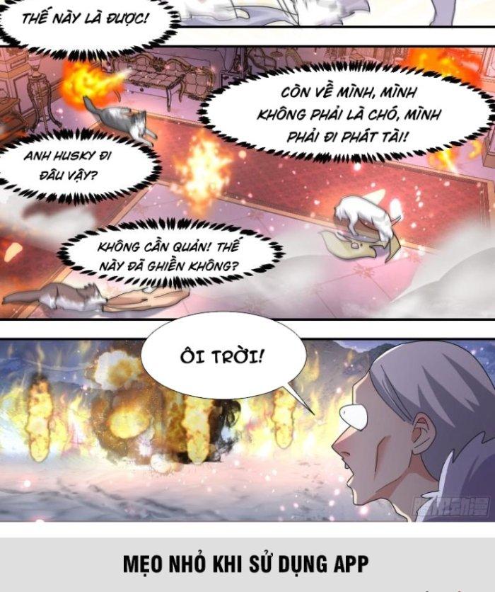 Trọng Sinh Thành Chó Của Nữ Thần Chapter 273 - Trang 3