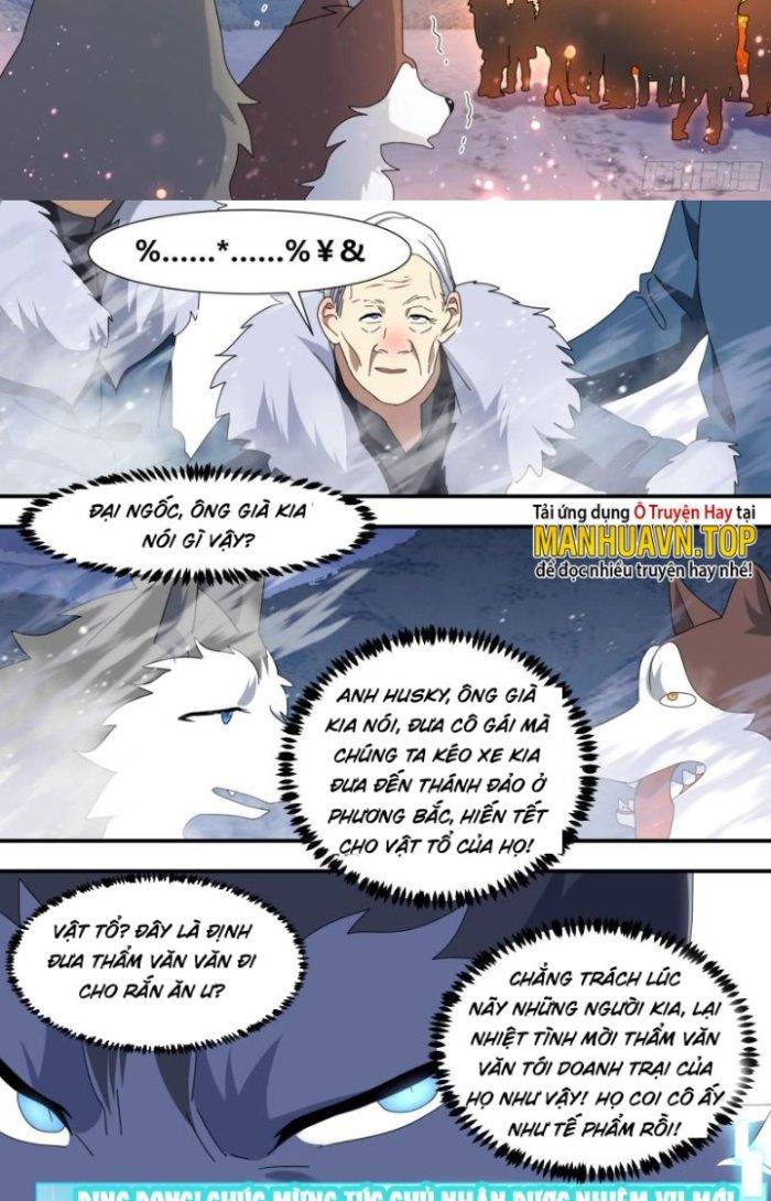 Trọng Sinh Thành Chó Của Nữ Thần Chapter 273 - Trang 3