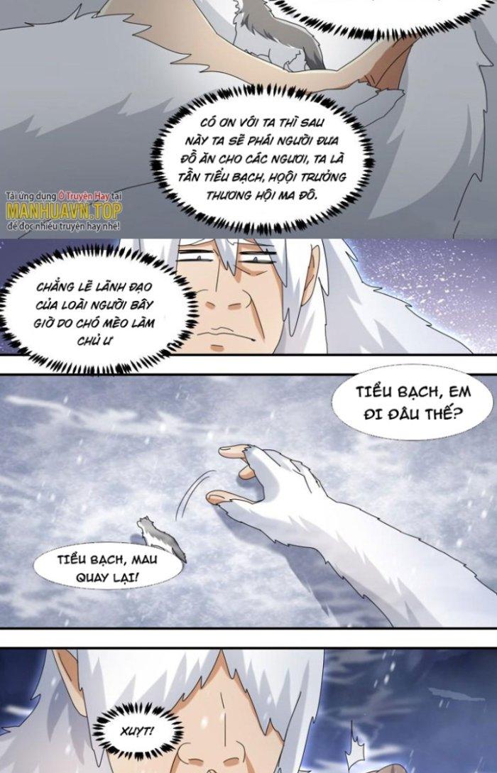 Trọng Sinh Thành Chó Của Nữ Thần Chapter 277 - Trang 3