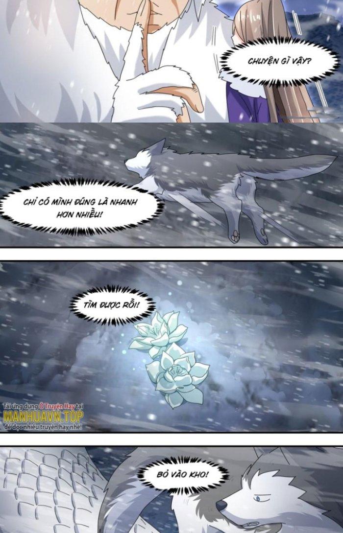Trọng Sinh Thành Chó Của Nữ Thần Chapter 277 - Trang 3