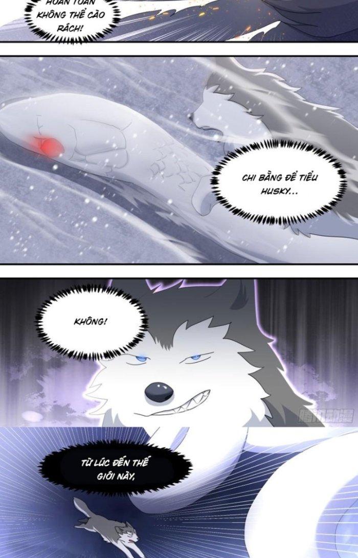 Trọng Sinh Thành Chó Của Nữ Thần Chapter 278 - Trang 3