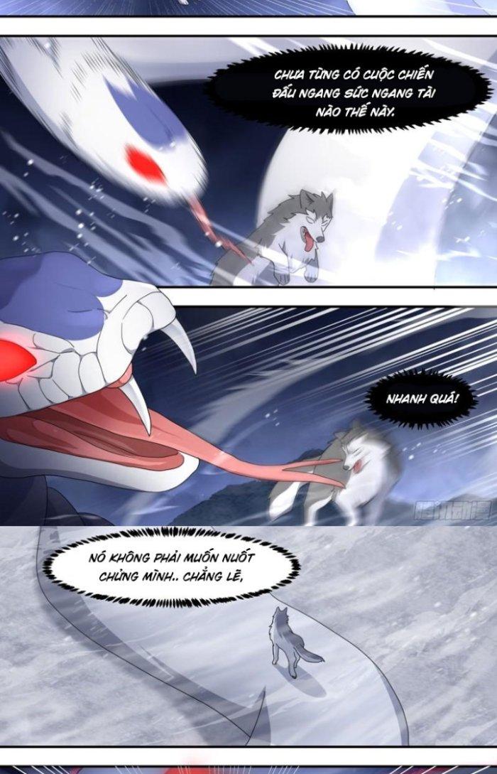 Trọng Sinh Thành Chó Của Nữ Thần Chapter 278 - Trang 3