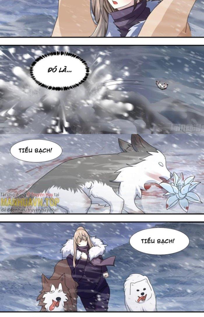 Trọng Sinh Thành Chó Của Nữ Thần Chapter 278 - Trang 3