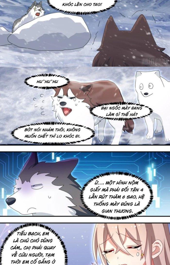 Trọng Sinh Thành Chó Của Nữ Thần Chapter 278 - Trang 3