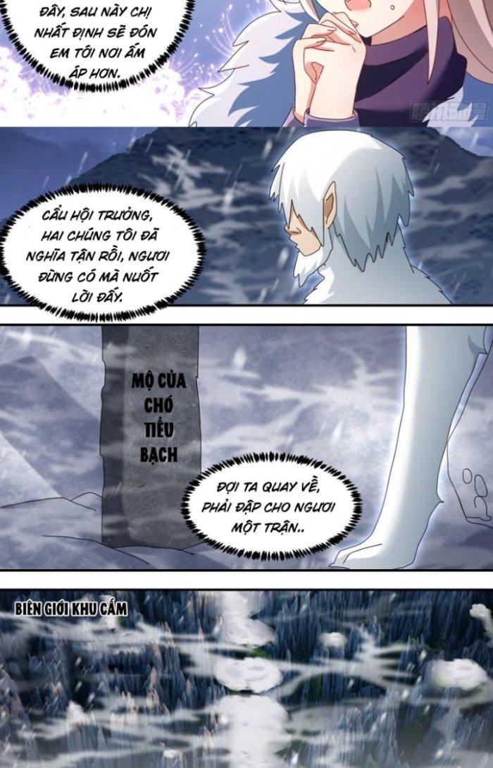 Trọng Sinh Thành Chó Của Nữ Thần Chapter 278 - Trang 3