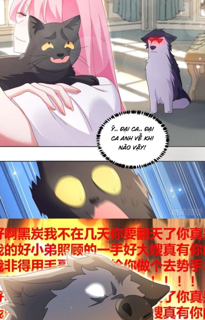 Trọng Sinh Thành Chó Của Nữ Thần Chapter 280 - Trang 3