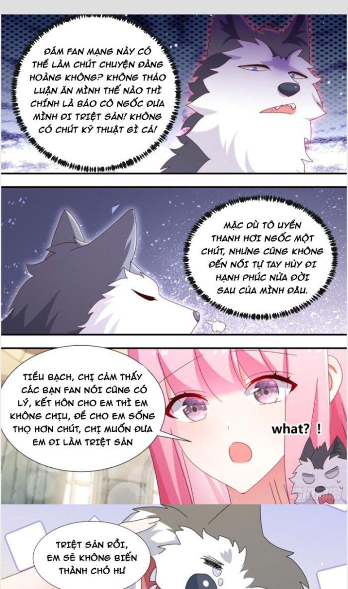 Trọng Sinh Thành Chó Của Nữ Thần Chapter 281 - Trang 3