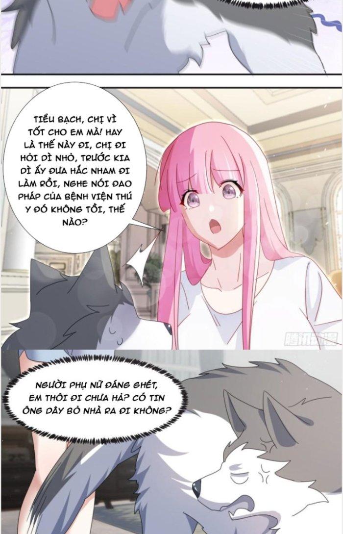 Trọng Sinh Thành Chó Của Nữ Thần Chapter 281 - Trang 3