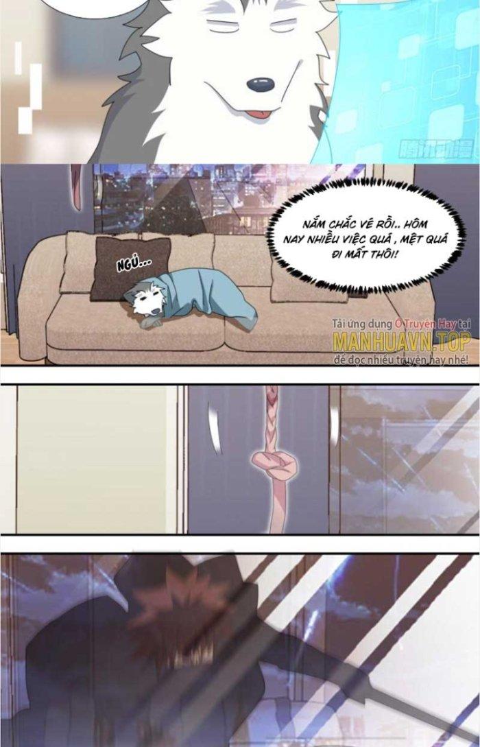 Trọng Sinh Thành Chó Của Nữ Thần Chapter 286 - Trang 3