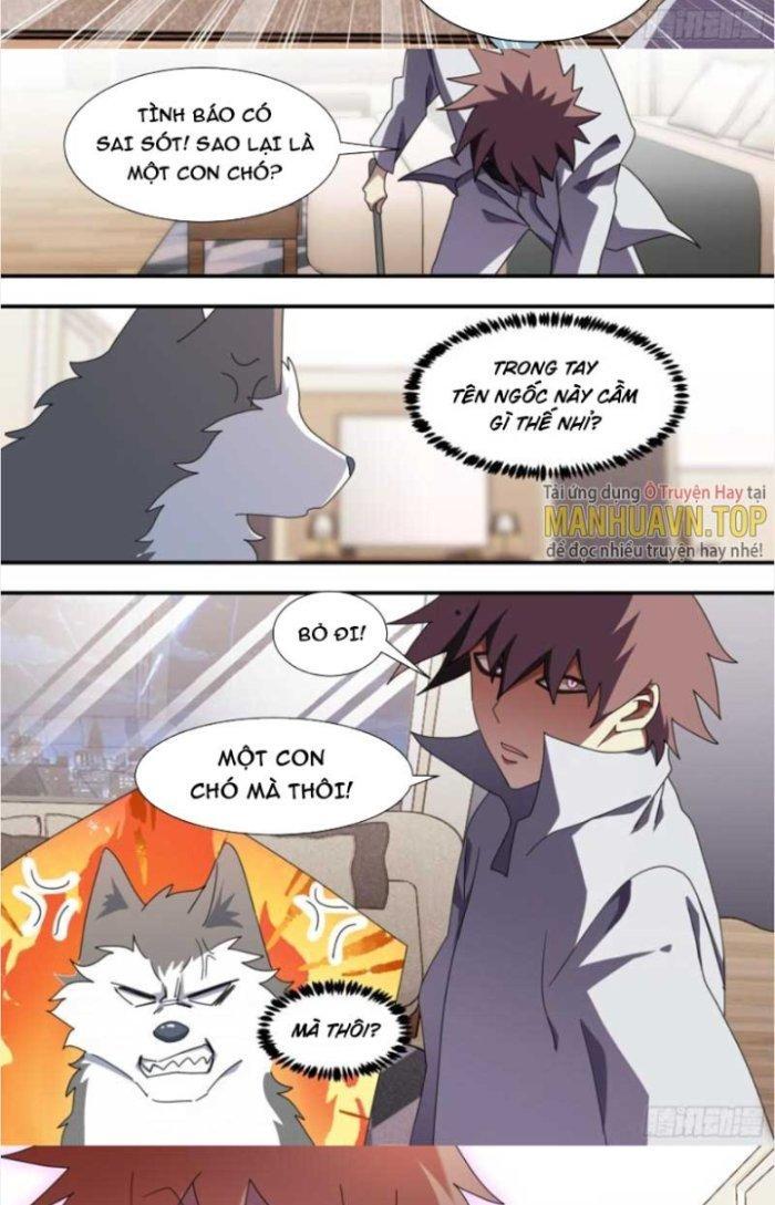 Trọng Sinh Thành Chó Của Nữ Thần Chapter 286 - Trang 3