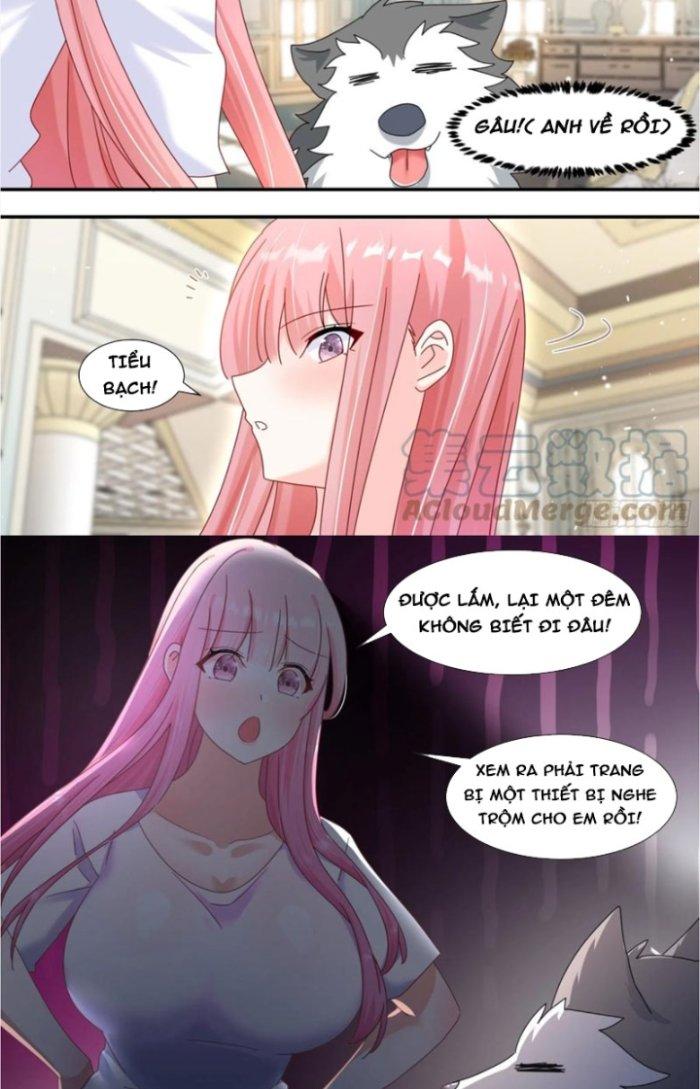 Trọng Sinh Thành Chó Của Nữ Thần Chapter 288 - Trang 3