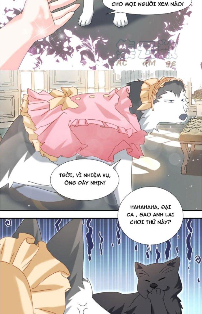 Trọng Sinh Thành Chó Của Nữ Thần Chapter 288 - Trang 3