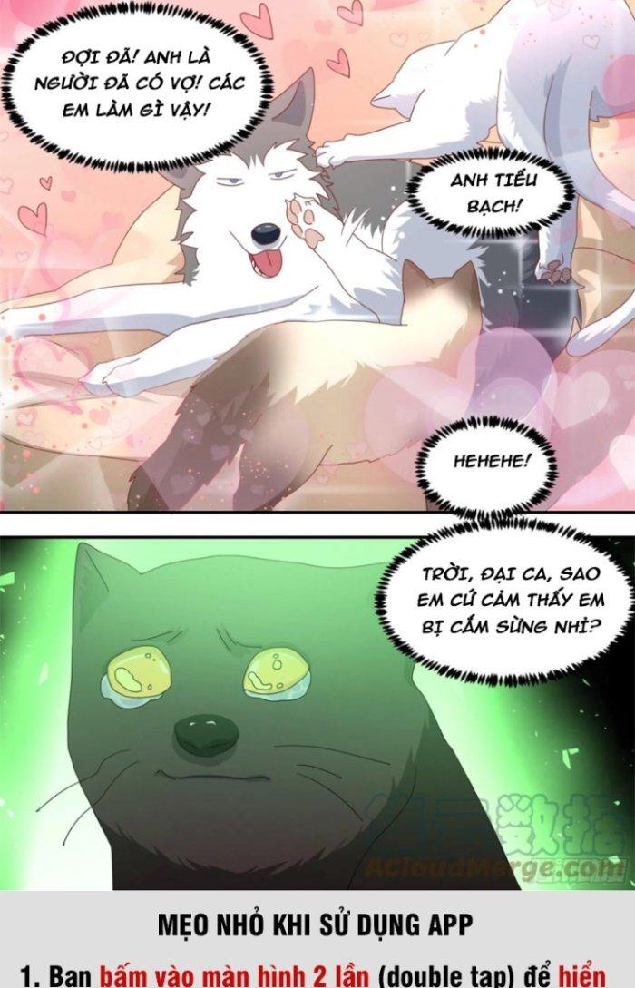 Trọng Sinh Thành Chó Của Nữ Thần Chapter 289 - Trang 3