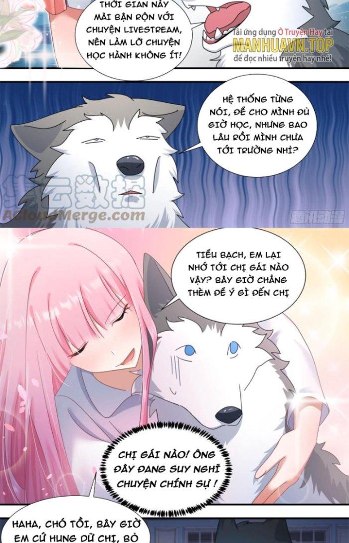 Trọng Sinh Thành Chó Của Nữ Thần Chapter 289 - Trang 3