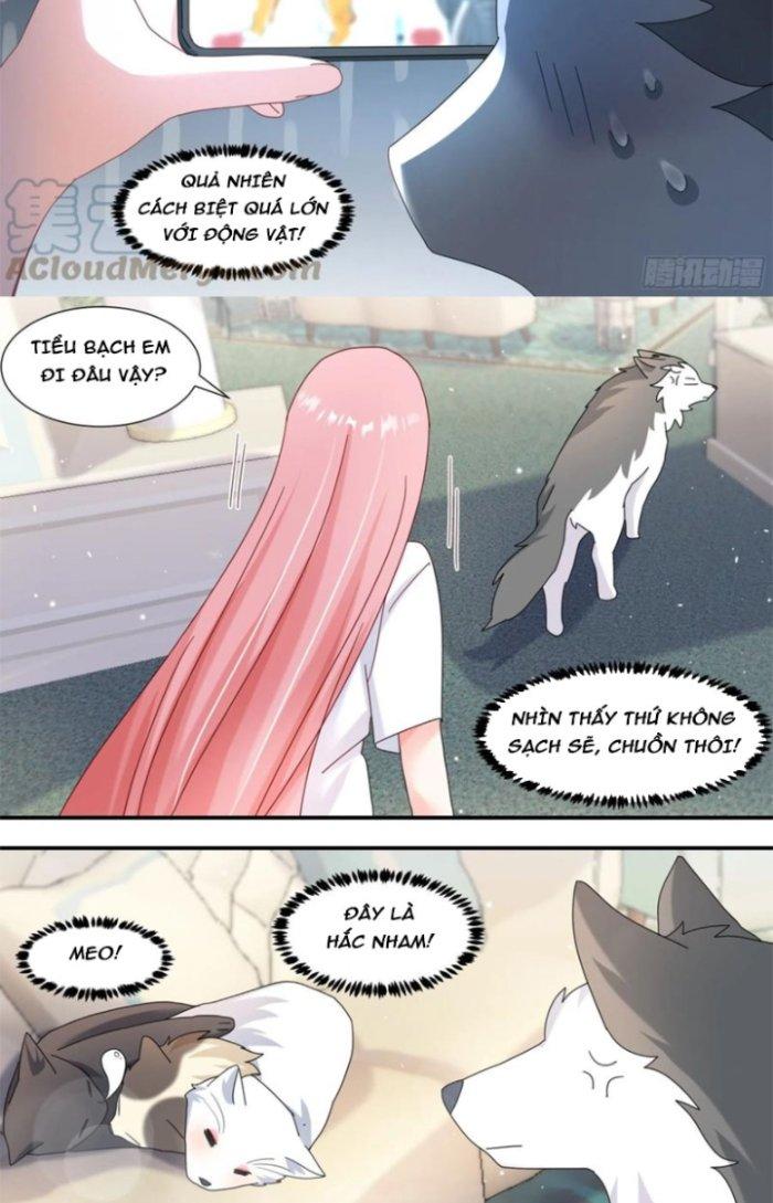 Trọng Sinh Thành Chó Của Nữ Thần Chapter 289 - Trang 3