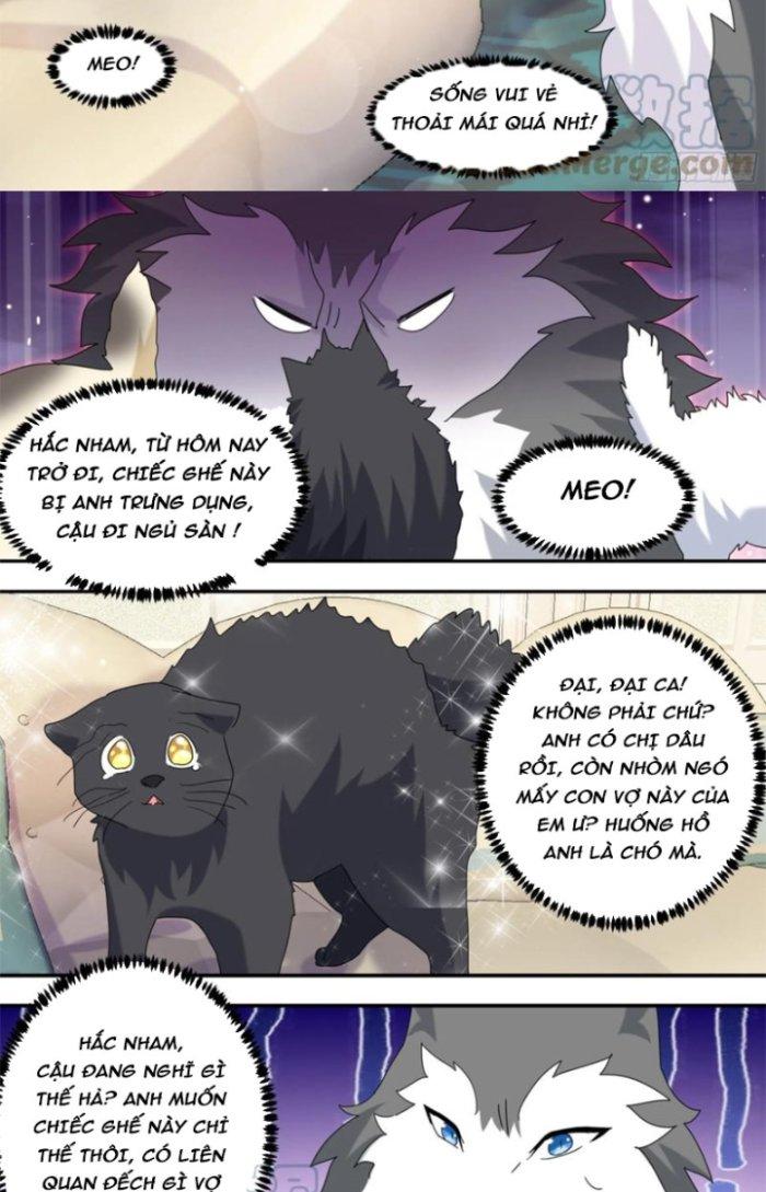 Trọng Sinh Thành Chó Của Nữ Thần Chapter 289 - Trang 3