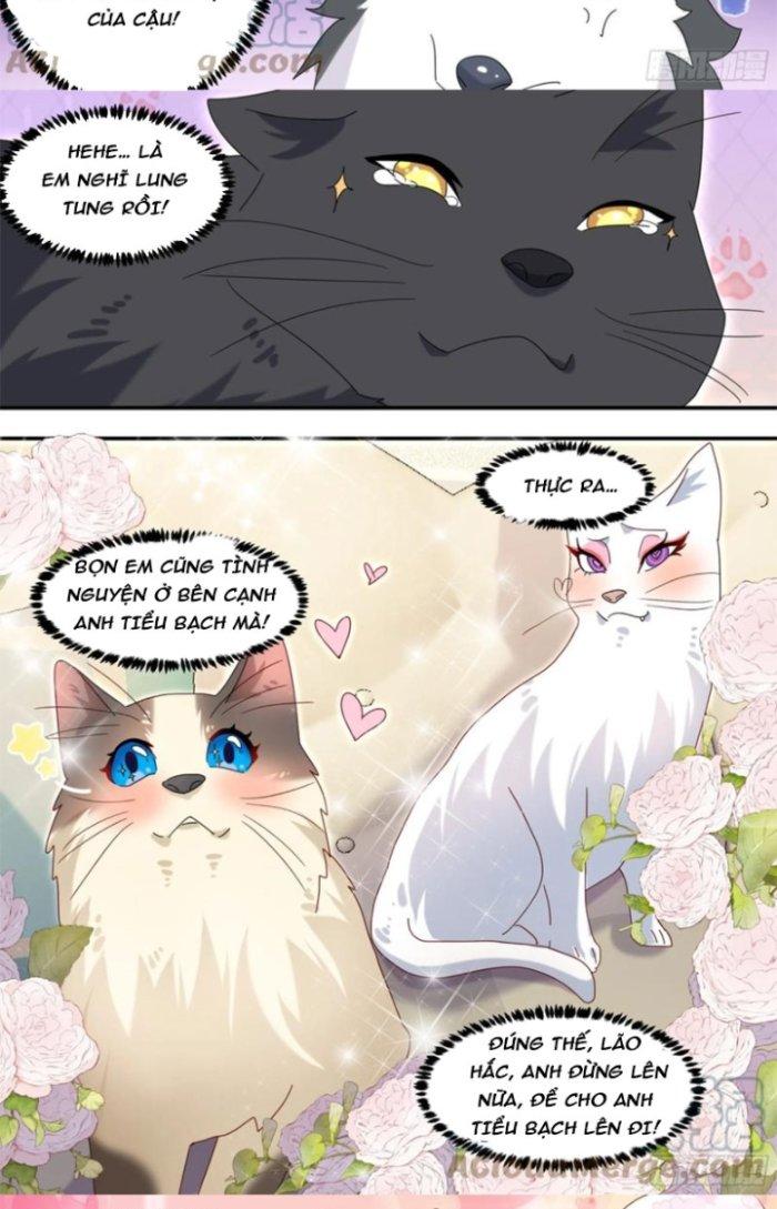 Trọng Sinh Thành Chó Của Nữ Thần Chapter 289 - Trang 3
