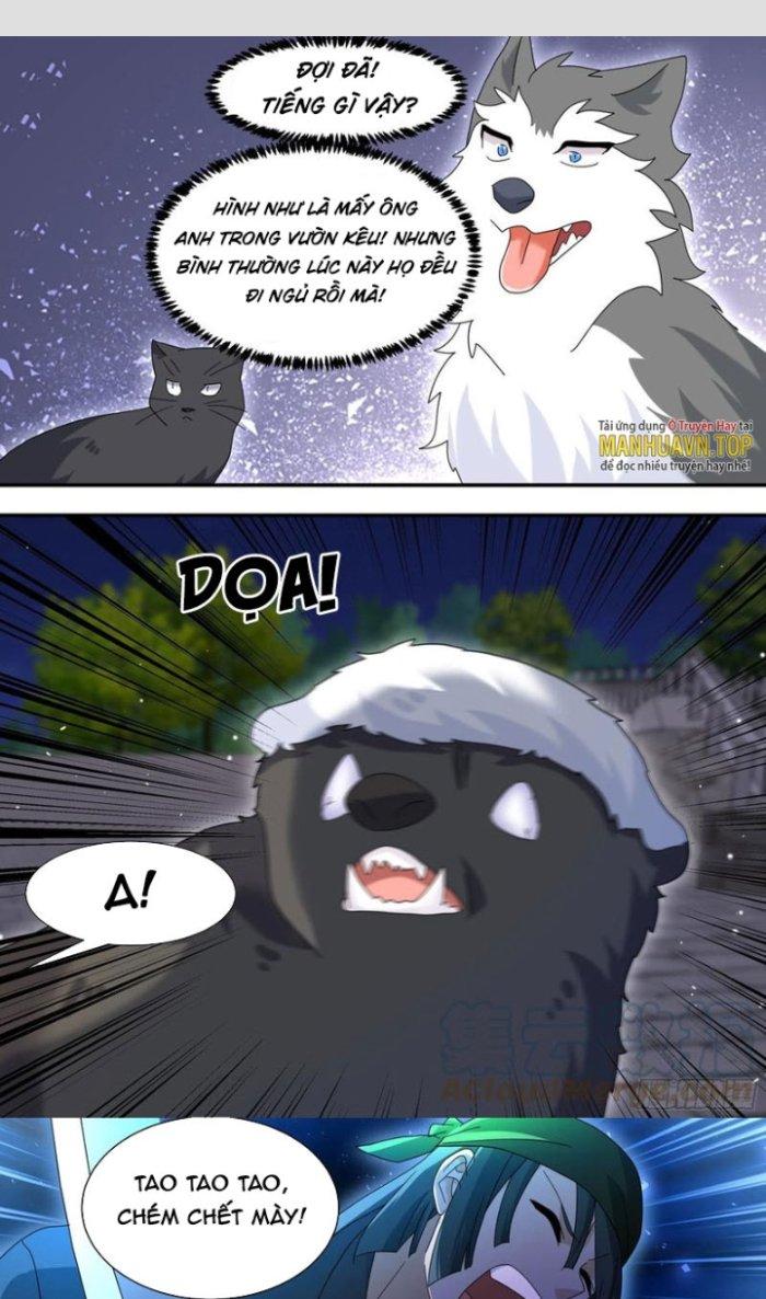 Trọng Sinh Thành Chó Của Nữ Thần Chapter 290 - Trang 3