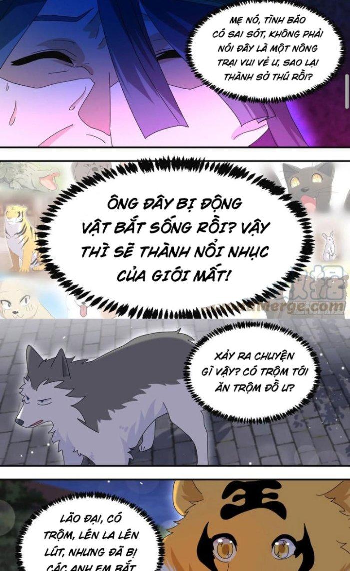 Trọng Sinh Thành Chó Của Nữ Thần Chapter 290 - Trang 3