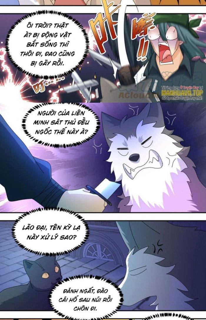 Trọng Sinh Thành Chó Của Nữ Thần Chapter 290 - Trang 3