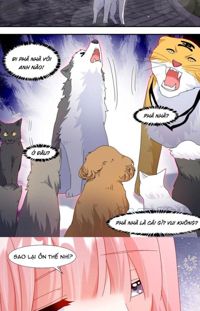 Trọng Sinh Thành Chó Của Nữ Thần Chapter 291 - Trang 3