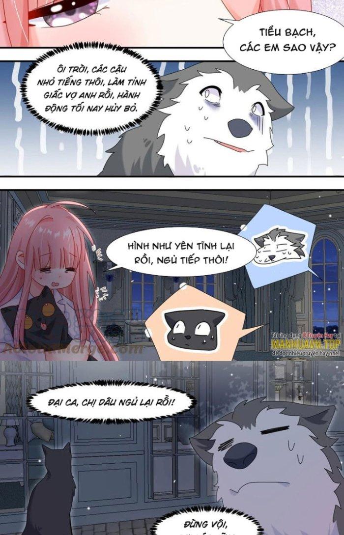 Trọng Sinh Thành Chó Của Nữ Thần Chapter 291 - Trang 3