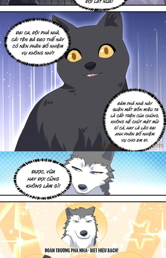 Trọng Sinh Thành Chó Của Nữ Thần Chapter 291 - Trang 3