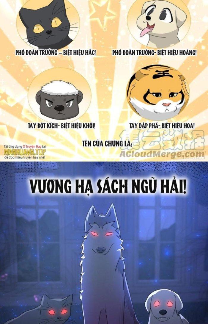 Trọng Sinh Thành Chó Của Nữ Thần Chapter 291 - Trang 3