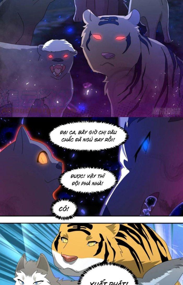 Trọng Sinh Thành Chó Của Nữ Thần Chapter 291 - Trang 3