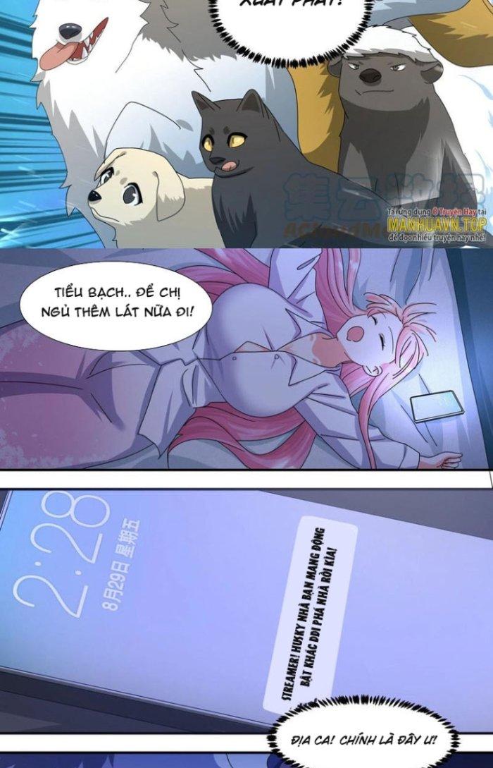 Trọng Sinh Thành Chó Của Nữ Thần Chapter 291 - Trang 3