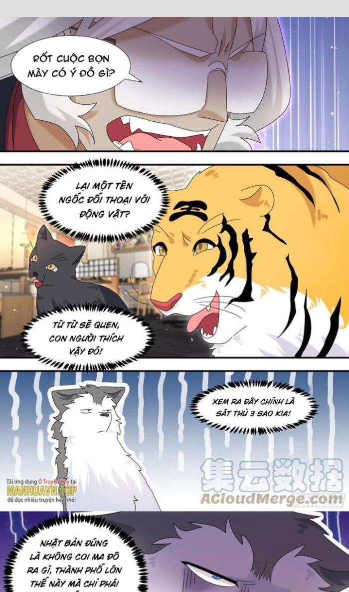 Trọng Sinh Thành Chó Của Nữ Thần Chapter 292 - Trang 3