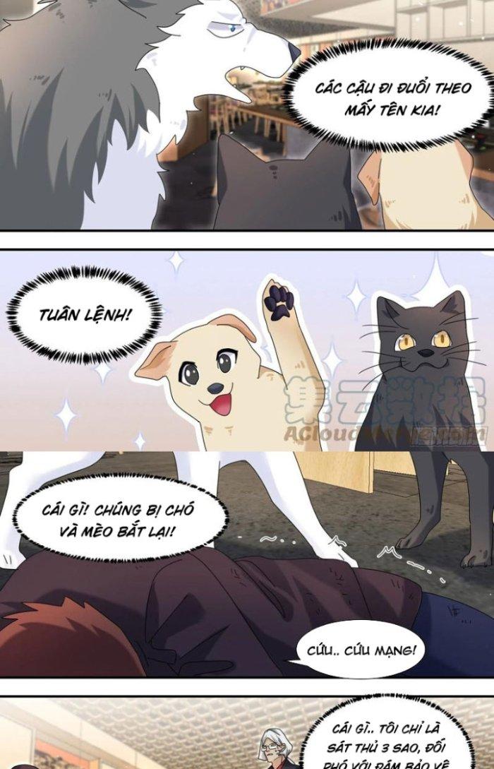Trọng Sinh Thành Chó Của Nữ Thần Chapter 292 - Trang 3