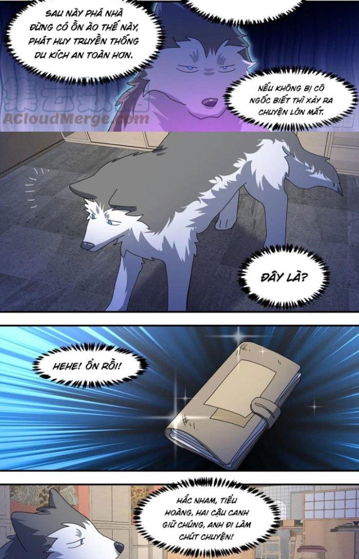 Trọng Sinh Thành Chó Của Nữ Thần Chapter 292 - Trang 3