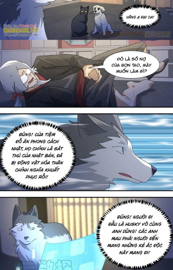 Trọng Sinh Thành Chó Của Nữ Thần Chapter 292 - Trang 3