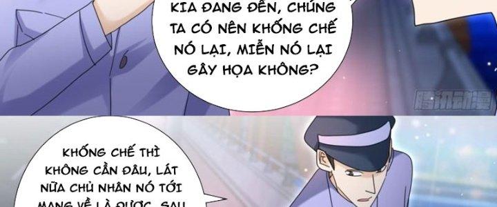 Trọng Sinh Thành Chó Của Nữ Thần Chapter 293 - Trang 3