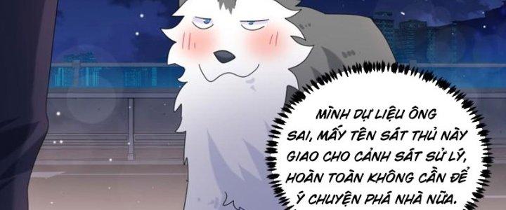 Trọng Sinh Thành Chó Của Nữ Thần Chapter 293 - Trang 3