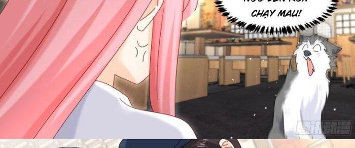 Trọng Sinh Thành Chó Của Nữ Thần Chapter 293 - Trang 3