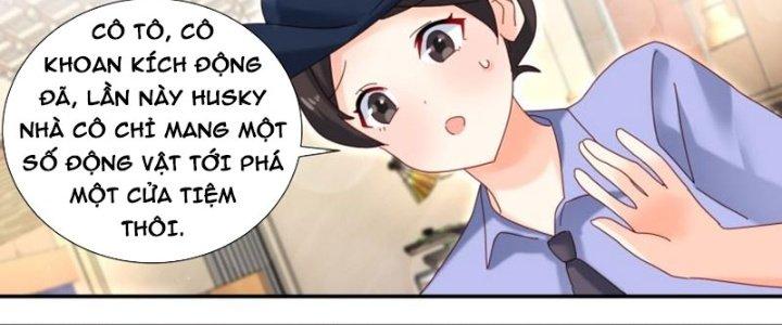 Trọng Sinh Thành Chó Của Nữ Thần Chapter 293 - Trang 3